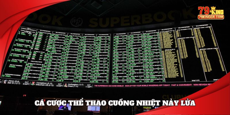 Cá cược thể thao cuồng nhiệt nảy lửa
